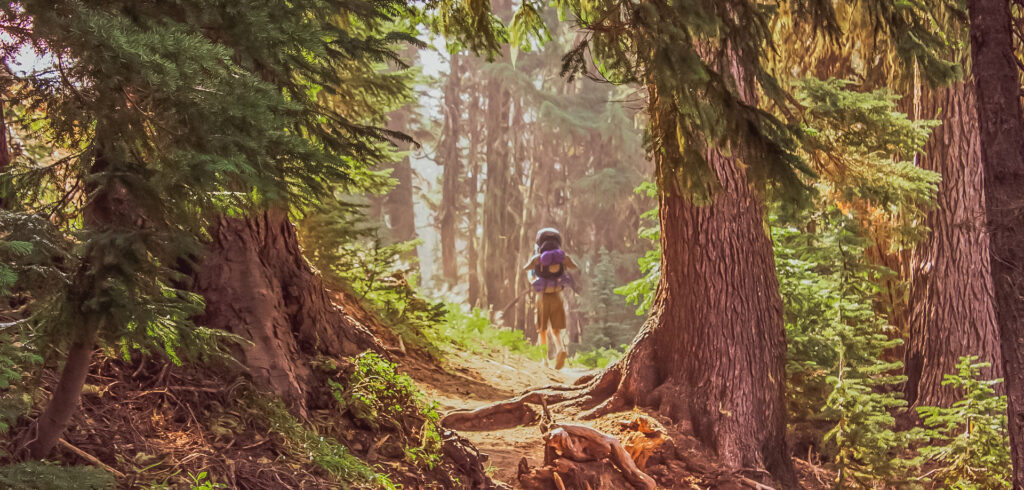 camping en pleine nature cote d opale